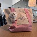 프로카월드 | MAR 2026 / 날씨 좋은 요즘엔 여행을, 경주월드 몇 년 만에 다녀오기, 결혼식 시즌, 벚꽃 핀 온천천