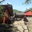 곡성-051 Daum카페