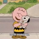 호안안경 이미지