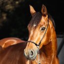 노벨전자 이미지