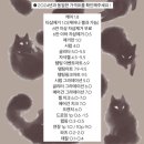 템팅네일 네이버블로그