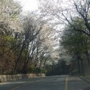 위례비전공인중개사사무소 이미지