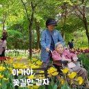 아하 이미지