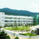 주식회사케이아이에스 노컷뉴스