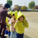 낙산초교 이미지