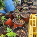 석류민박 | 경주독채민박유휴정의 시선으로 본 숙소 성공/실패 사례 분석