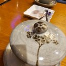 원곡주유소 | 뷰카페 ♡카페그리움♡테라스카페♡251225♡방문후기♡수제전통찻집♡분위기있는카페♡계란노른자동동...