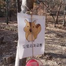 금오산 유아숲체험원 이미지