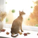 신탄진 동물병원 이미지