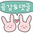 우차돌양갈비
