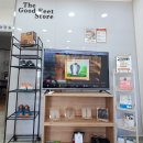 굿피트코리아 이미지