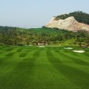 엘리체컨트리클럽 이미지