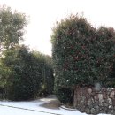 동백마을회관 이미지