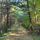 방아머리선착장 이미지