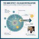 주식회사 엠엔 | NMN 효능이 좋은 영양제 노화방지영양제 이글 꼭 읽어보세요!