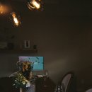 [코닥 토이카메라 M35] 제주 여행 사진 +울트라맥스 400, 컬러플러스 200, 코닥 필름카메라 추천, 망우삼림