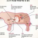 백화양곱창5호 티스토리