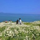 부안변산마실길 이미지