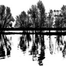 하나 행정사 이미지