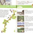 서리풀길 4 이미지