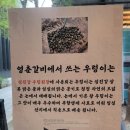 숯불구이돼지나루 이미지