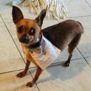 엠브이에스 이미지