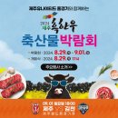 이번주 가볼만한곳!! 서귀포 축제 소식입니다. 이미지