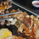 탐라도야지 이미지