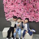 늘품태권도장 이미지