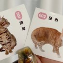 멍스데이 이미지