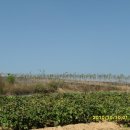 한초농장 이미지