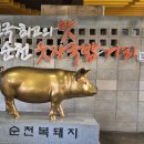 동광카 | 동광성당 빈첸시오회 회원들과 함께한 1박 2일 남도 가을 여행!