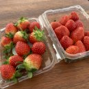 승철농장 이미지