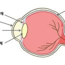광진동물의료센터 이미지