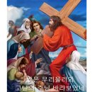 비아 돌로로사 가사 및 동영상 편집 버젼 업로드 이미지
