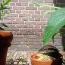 문명농장 이미지