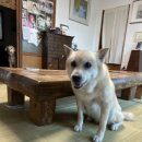 산촌민박 이미지