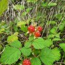 1004농장 이미지