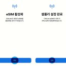 아이와 해외여행 준비물 필수 샤워기 필터와 추천템 리스트