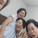 신안자연휴양림 이미지