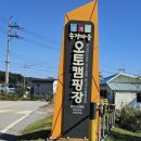 수목화를 그리는 송정마을 | 강원도 고성 거진 조용하고 한적한 수목화 송정마을 오토캠핑 야영장