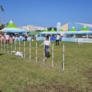 The행복한동물병원 이미지