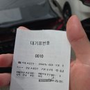 괴정동 회화나무 소공원 | 사하구 하단 괴정동 돈까스 맛집 늘솜 추천 이유