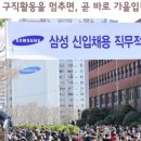 삼성취업컨설팅 이미지