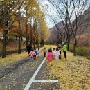 고산카페트