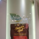 애플민트치과의원 | [선물] 2024 05 월에도 많은 사랑 감사합니다!