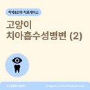 송정동물메디컬센터