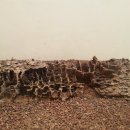 한림공원 이미지