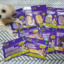 Paw&Me(포앤미) 이미지