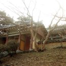 상주 승곡리 추원당 네이버블로그